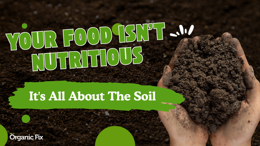 Why Soil Health Matters: The Foundation of Nutritious Food | Organic Fix Eltham