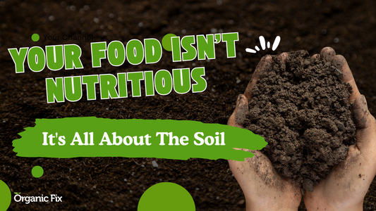 Why Soil Health Matters: The Foundation of Nutritious Food | Organic Fix Eltham